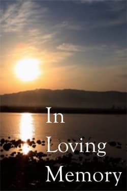 Timothy Tollestrup